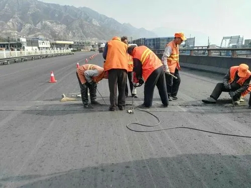 繁昌道路桥梁病害治理